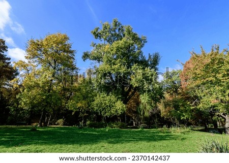 Landscape with old trees with green and yellow leaves in a sunny autumn day in Parcul Carol (Carol Park) in Bucharest, Romania