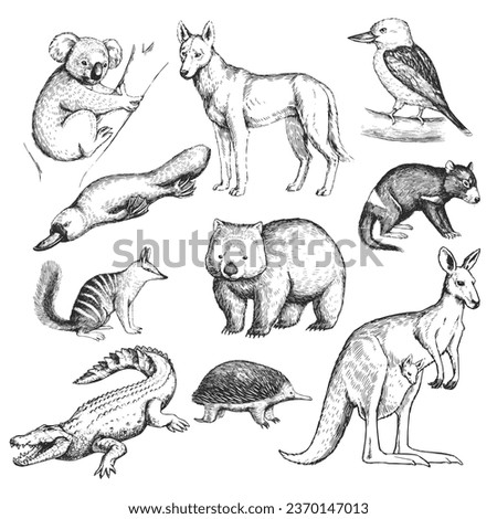 Vector hand-drawn set of animals of the Australia in the style of engraving. A collection of sketches of the zoo, isolated on white.