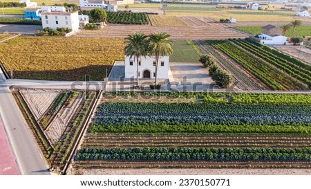 Aerial view of white houses located in the northern of Valencia, Horta Nord surrounded by fields of xufas, lettuce, artichokes and a vici lane at sunrise. Royalty-Free Stock Photo #2370150771