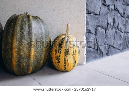 Couple of pumpkins standing by the wall, background picture