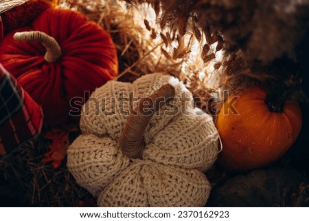 Pumpkin decorations with hay, and knitted pumpkins