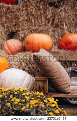 Wooden bench with pillows and seasonal decorations with plenty of pumpkins