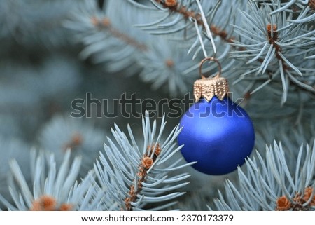 christmas tree fir tree with blue toy, texture of blue fir tree branches