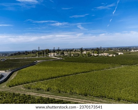 Harvest time in Saint-Emilion medieval village, wine making region on right bank in Bordeaux, ready to harvest Merlot or Cabernet Sauvignon red wine grapes, France in september, aerial view Royalty-Free Stock Photo #2370173541