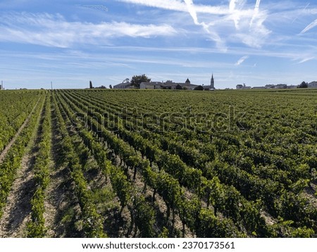 Aeriel view on rows of Merlot red grapes in Saint-Emilion wine making region in Pomerol, right bank in Bordeaux, ripe and ready to harvest Merlot or Cabernet Sauvignon red wine grapes, France Royalty-Free Stock Photo #2370173561