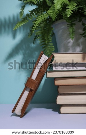 There is a stack of books on a blue background, with a green home flower and a leather notebook on top.