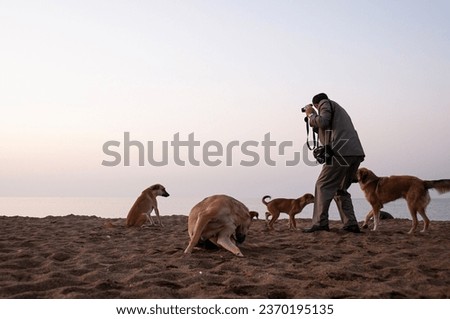 Photographer and stray dogs on the beach at sunrise.