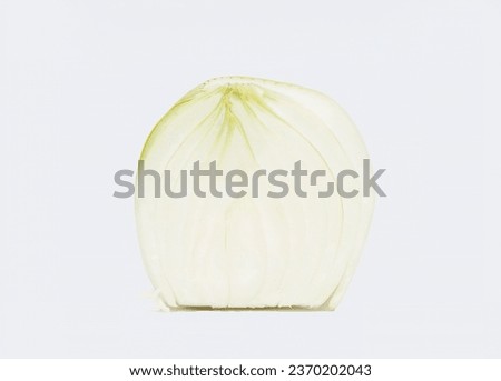 Capture the essence of wholesome nutrition with our striking half onion image! Perfect for promoting healthy eating habits, this high-quality photo is a must-have for stock agencies. 