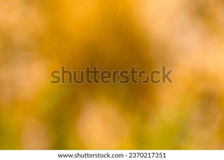 Blurred colored abstract background. Smooth transitions of  colors from light green to  beige, orange and light brown. Colorful gradient.