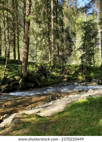 Mountain creek during a sunny summer day in Romania. Royalty-Free Stock Photo #2370220449