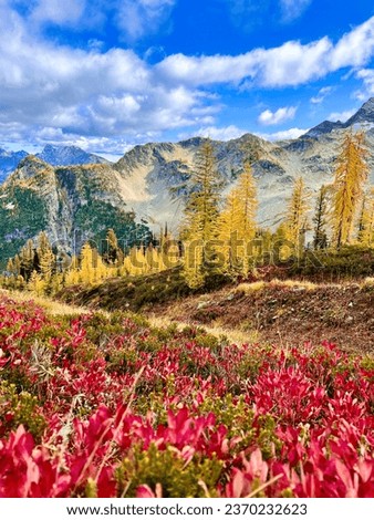 Fall Pictures 🍁🍂 from North Cascades National Park in WA, USA