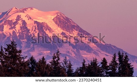 Mount Rainier at Sunset with Trees in Foreground Royalty-Free Stock Photo #2370240451