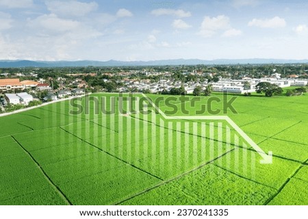 Land, landscape or green field in aerial view. Include bar chart or graph, drop down arrow. Real estate or property with concept for sale price, land value to decrease, reduction or negative trend.