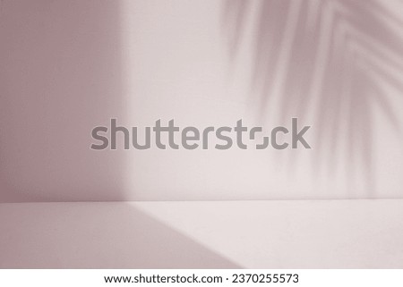 empty white room with shadow