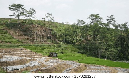photo of a farm in the fertile hills