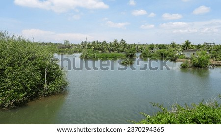 Kerala nature landscape scenery, beautiful river view surrounded with palm trees