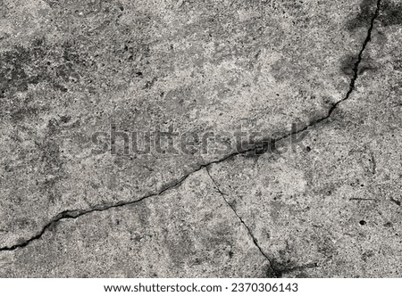 a crack in the concrete..