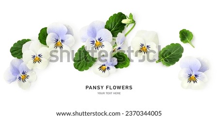 Viola pansy flower frame border. Beautiful spring flowers and leaves isolated on white background. Creative layout. Floral design element. Springtime and easter concept. Top view, flat lay 
