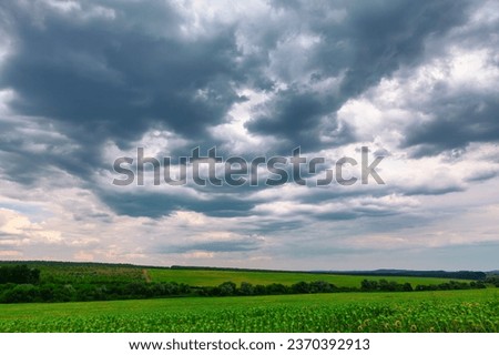 Cloudy sky over the field with sunflowers . Low clouds over the agricultural field Royalty-Free Stock Photo #2370392913