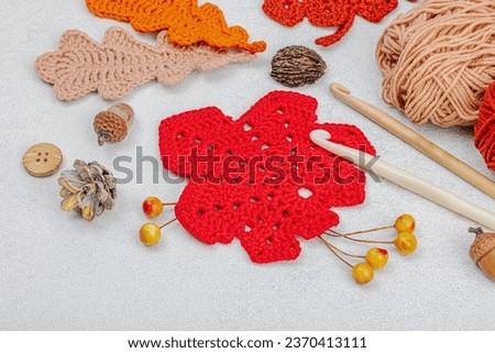 Set of clew of thread for knitting. Crocheted different leaves, handmade, autumn hobby concept. Props and special craft tools on light stone concrete background, copy space