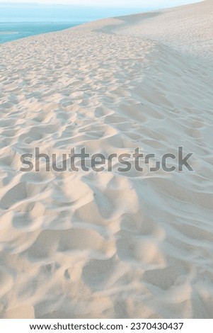 The Dune of Pilat in the Arcachon Bay, France. Calm and relaxation in the dunes