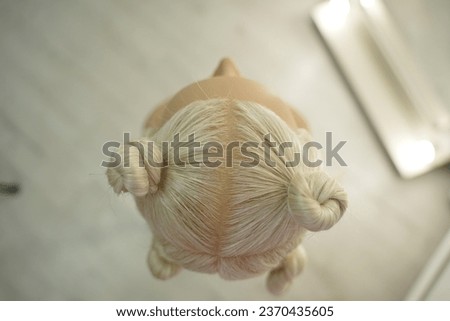 marking a mannequin's head into zones, hairdressing, teaching students, hair cutting, braiding. The master demonstrates to his students the division of the head into zones Royalty-Free Stock Photo #2370435605