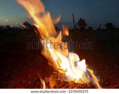 Flame picture on atmospheric summer camping day