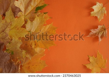 autumn composition of maple leaves on an orange background with free space for text insertion. Ready-made template for postcards and invitations. High quality photo