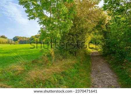 Fields and trees in a green hilly grassy landscape in autumn, Voeren, Limburg, Belgium, September 2023