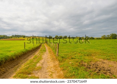Fields and trees in a green hilly grassy landscape in autumn, Voeren, Limburg, Belgium, September 2023