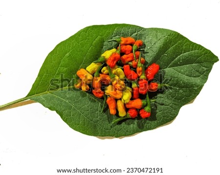 This photo displays colorful chili peppers on fresh green leaves, suitable for various purposes, from spicy recipes to fresh, organic food concepts.