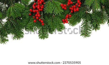 Christmas tree border and red berries decoration isolated on white transparent