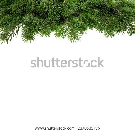 Christmas tree border isolated on white transparent, Xmas spruce, green fir pine branch