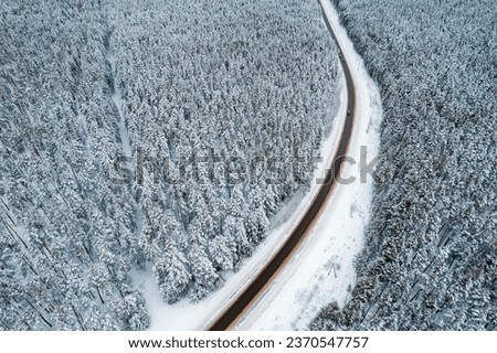 aerial view of the winter forest covered with snow, turn of the road in the winter forest. pine forest area