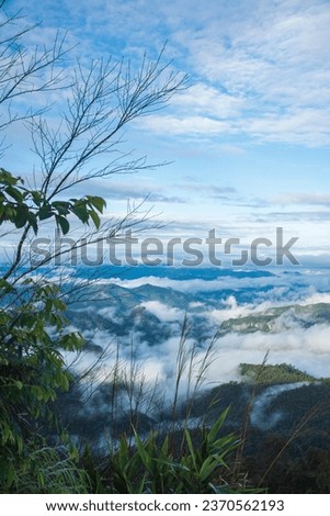Forest nature, morning mist, good weather and relaxing atmosphere. At Doi Jik Chong, Mae Hong Son
