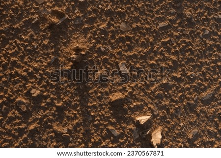 The desert ground and stone texture with small pieces of salt in the evening light in Sahara.