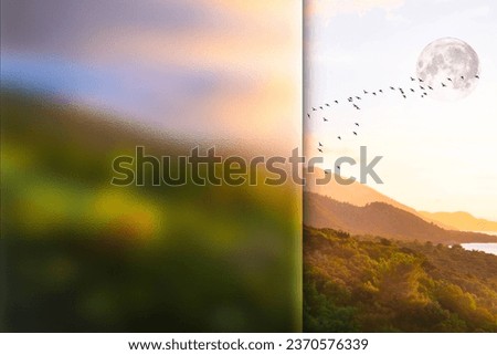 Sunset nature and birds. Photo with a frosted glass effect applied to one side. presentation, card, poster etc. ready-to-use image. 