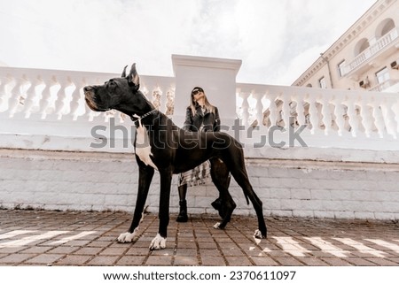 A woman walks with her Great Dane in an urban setting, enjoying the outdoors and the company of her dog. Royalty-Free Stock Photo #2370611097