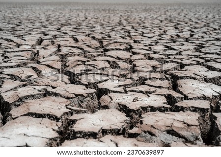 Intricate cracks on parched lake bed, a desert landscape stretching to the horizon, sky unseen. Royalty-Free Stock Photo #2370639897