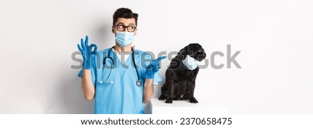 Funny black pug dog wearing medical mask, sitting near handsome veterinarian doctor showing okay sign, white background.