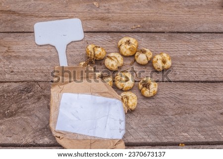Fritillaria meleagris bulbs next to a paper bag and a garden sign on the table