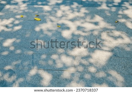 The spring sunshine shines through the light spots scattered on the ground through the leaves. Shot on March 26, 2013, Chongqing, China.