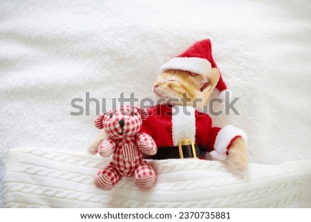 Baby cat in Christmas costume and Santa hat. Ginger newborn kitten sleeping under woolen blanket. Cozy Xmas winter day with pet at home. Nap time. Present for animal. Cats sleep, relax, rest.
