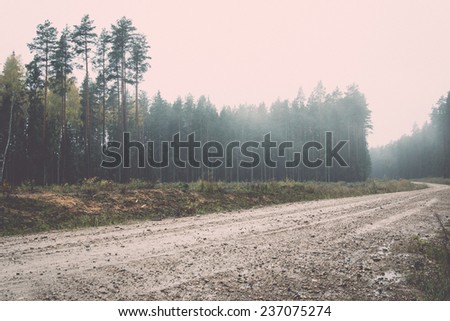 country gravel road in the forest. latvia. - retro, vintage style look