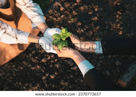 Eco-business company empower farmer with eco-friendly farming practice and clean agricultural technology. Cultivate sustainable future nurturing plants to grow and thrive. Gyre Royalty-Free Stock Photo #2370773657