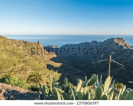 View over roof with opuntia and agave cacti on sharp cliffs of rocky north coast of La Gomera island. Ocean and arid mountain in soft backlight. Canary Islands, Spain