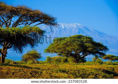 African savannah with Kilimanjaro mountain