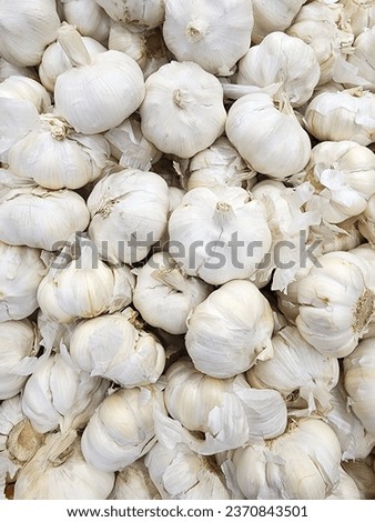 "GARLIC". The picture shows a fresh pile of white bottoms on the table. Full of vitamins and nutrients. Be an important ingredient when cooking.