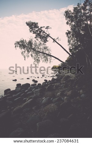 rocky beach in the baltic sea with plants and skyline - retro, vintage style look