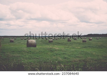rolls of hay in green field in country - retro, vintage style look